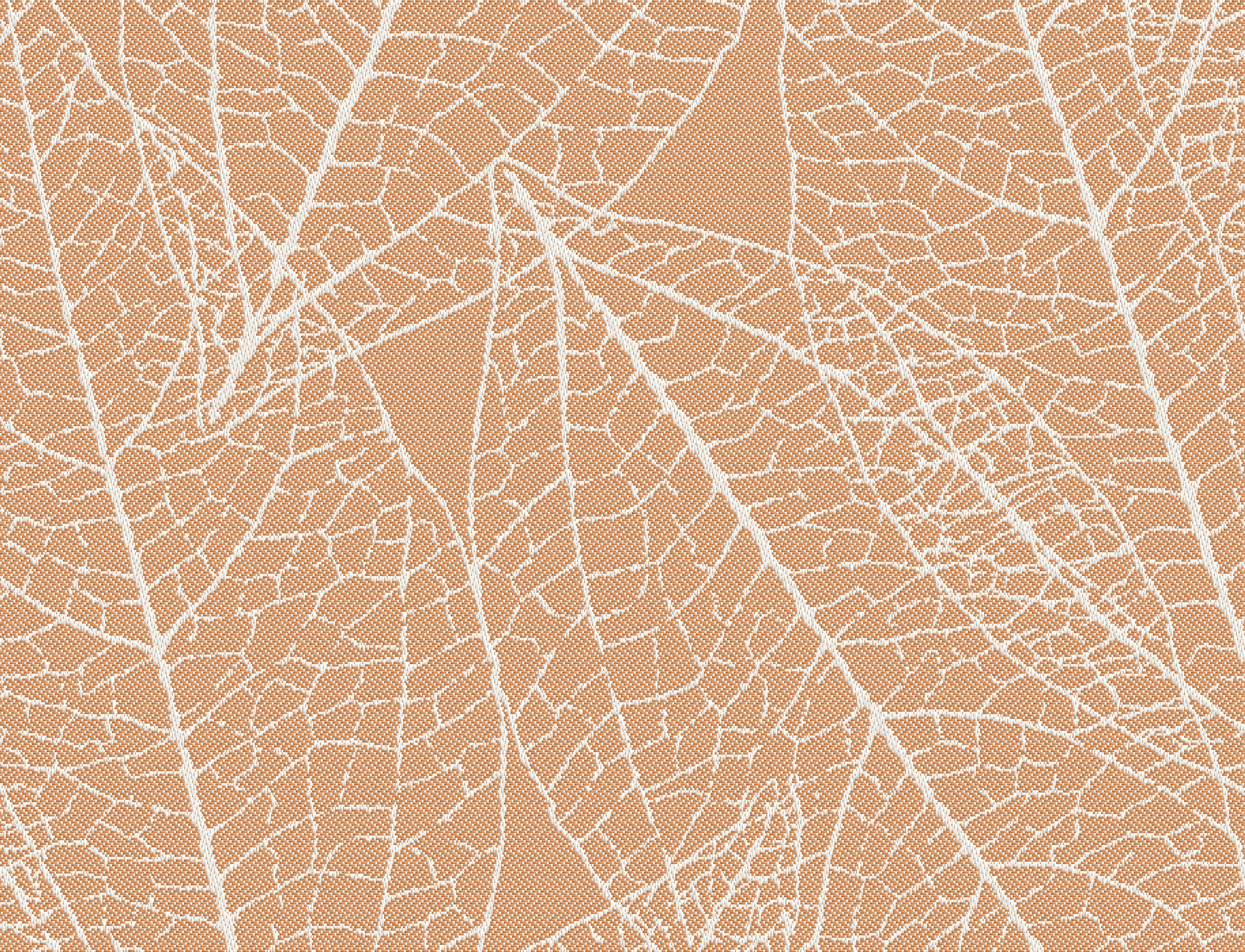 Laurel Sorbet Fabric Swatch