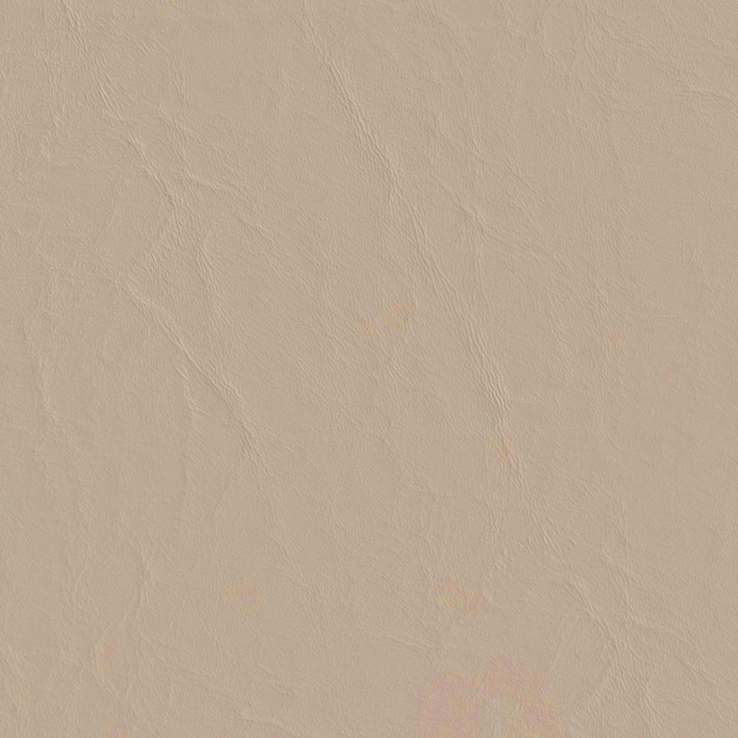 Capitano Sand Dollar Fabric Swatch