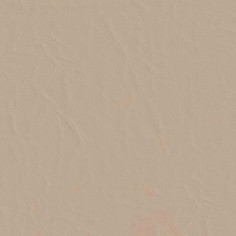 Capitano Sand Dollar Swatch
