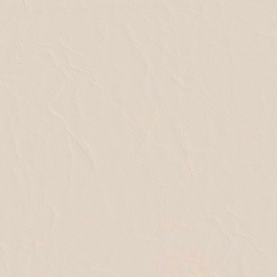 Capitano Conch Shell Fabric Swatch
