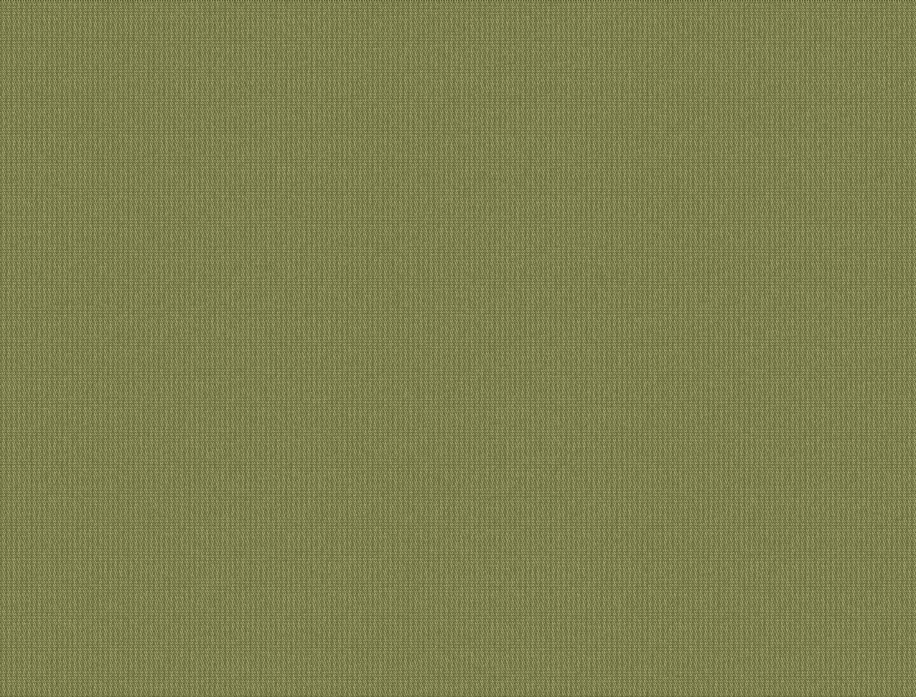 Solid Olive Fabric Swatch