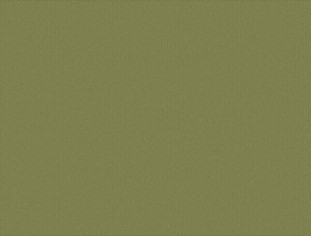 Solid Olive Swatch