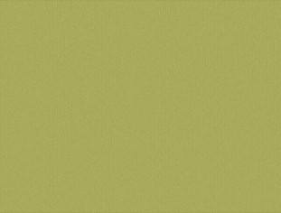 Solid Pesto Swatch