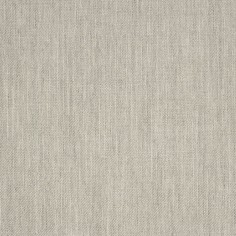Flagship Silver Swatch