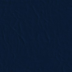 Capitano Eclipse Swatch