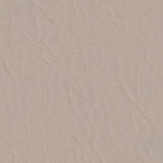 Capitano Heron Swatch