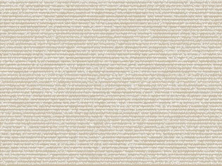 Loft Buff Swatch