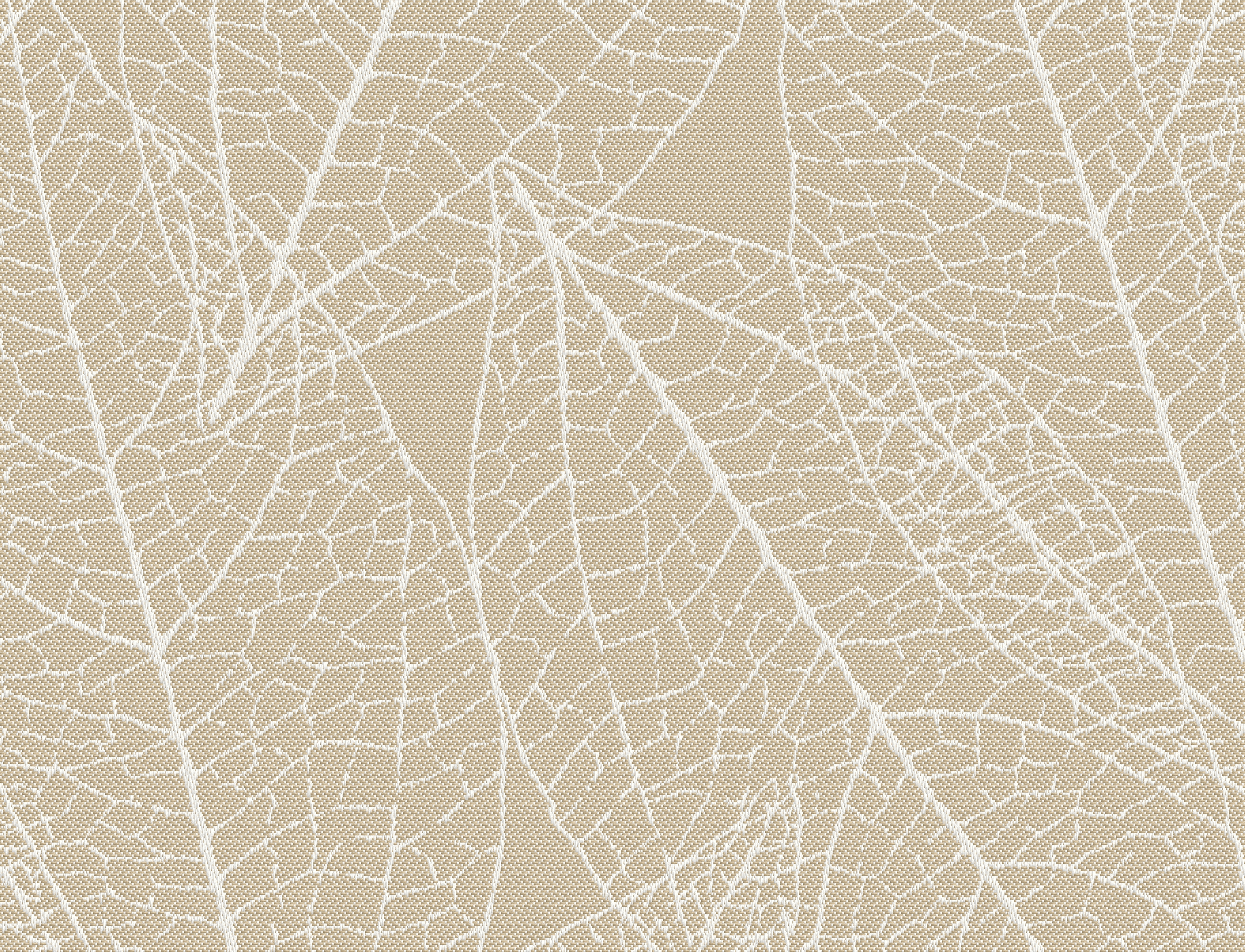 Laurel Ecru Fabric Swatch