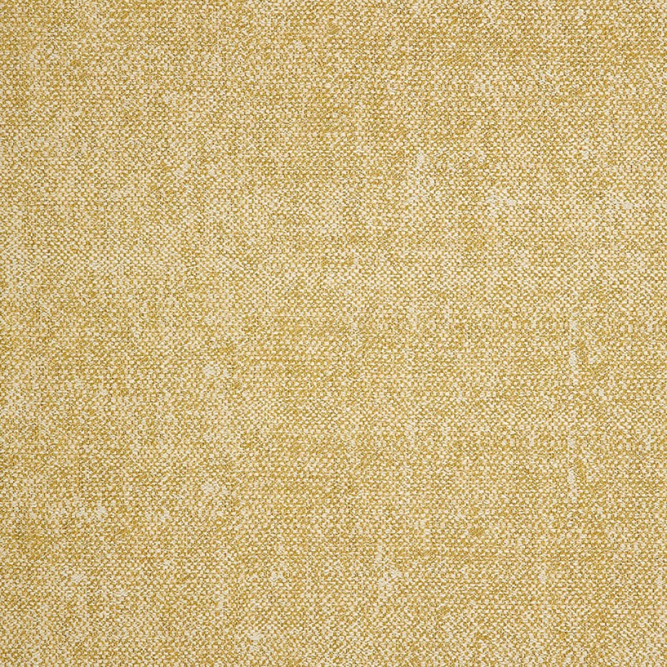 Chartres Barley Fabric Swatch