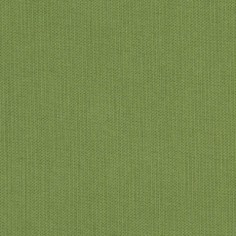 Spectrum Cilantro Swatch