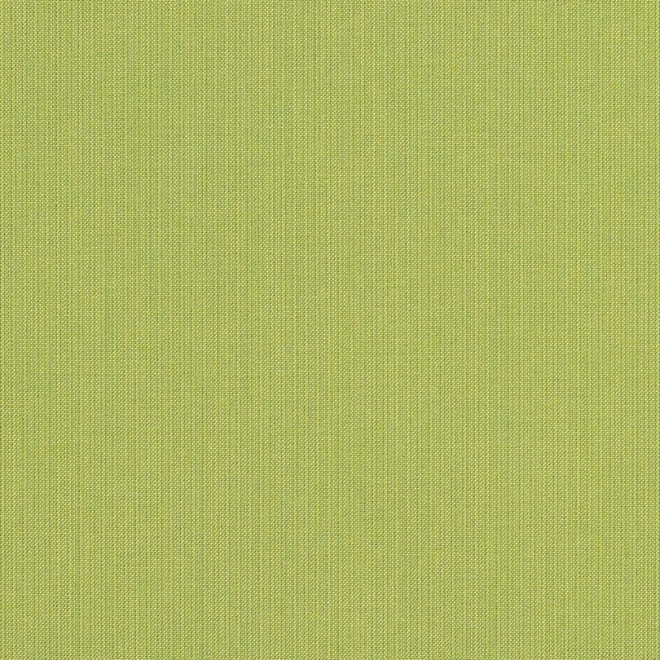 Spectrum Kiwi Fabric Swatch