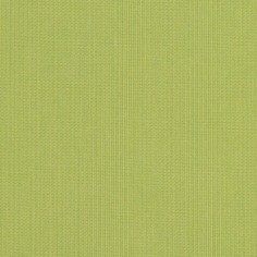 Spectrum Kiwi Swatch