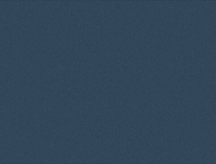 Solid Neptune Swatch