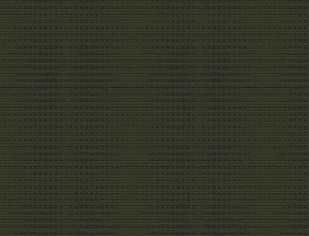 Moonbeam Hunter Swatch