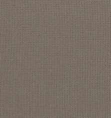 Donatello 50963/11 Swatch
