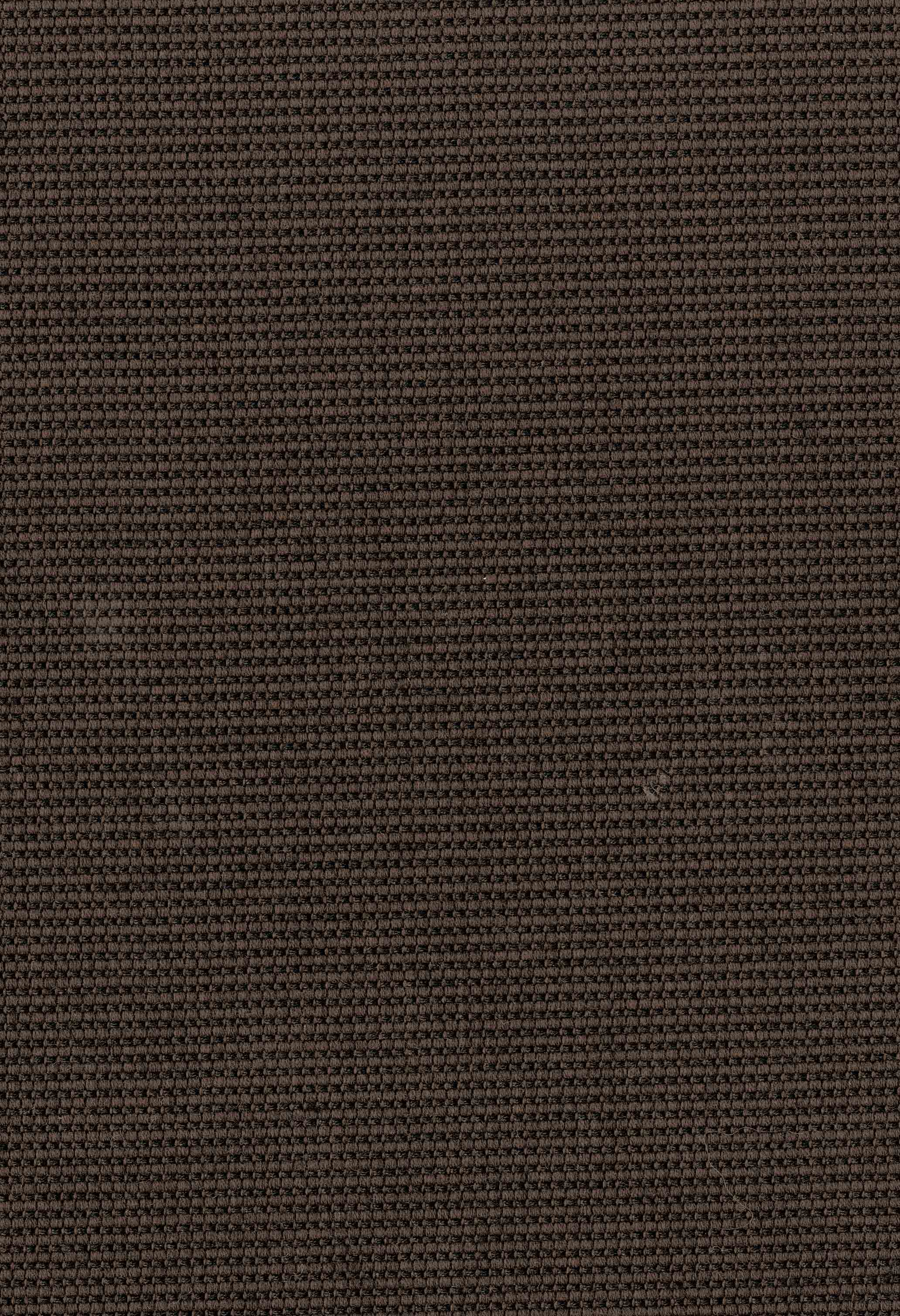 Donatello 50963/13 Fabric Swatch