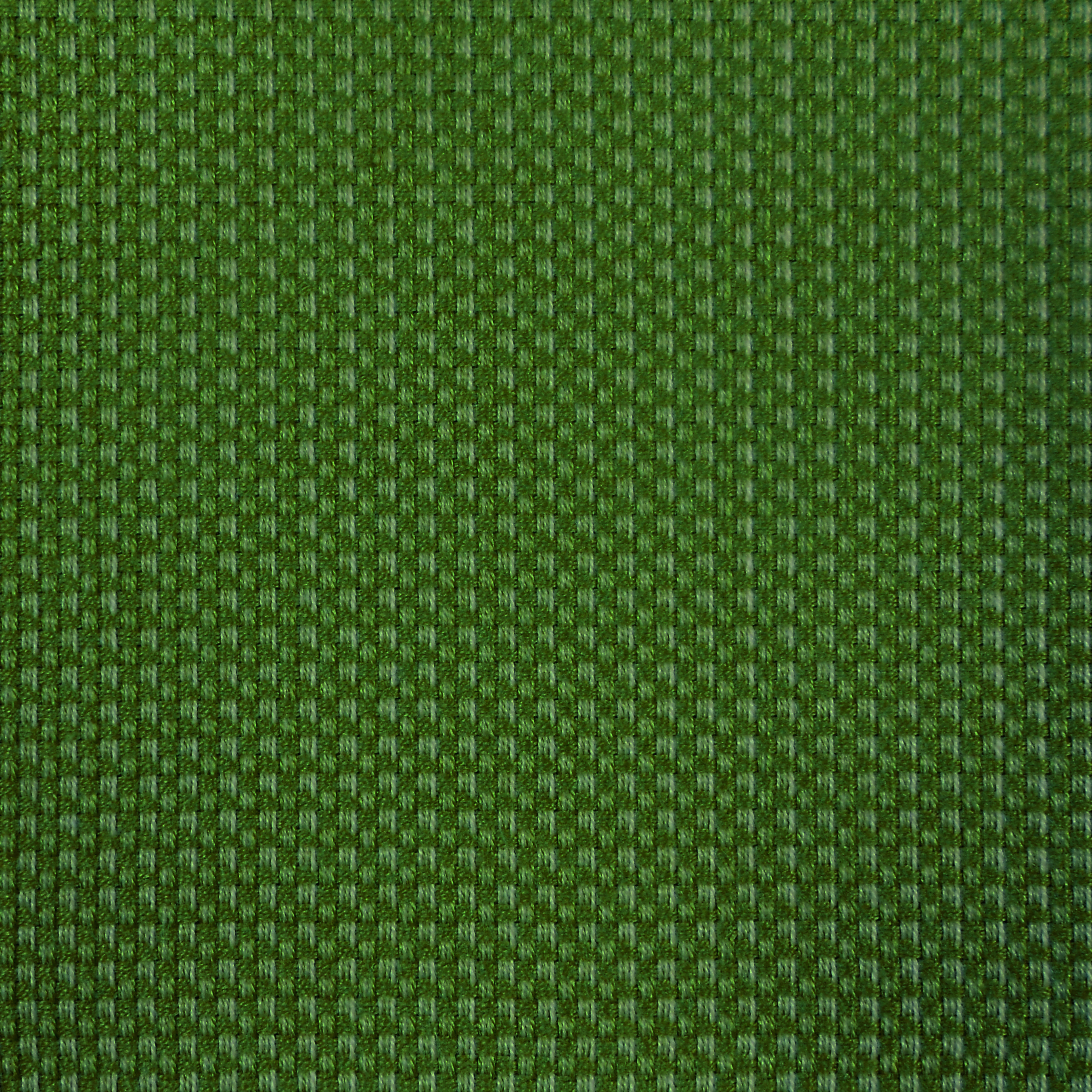 Michelangelo 50964/5 Fabric Swatch