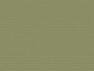 ETC Asparagus Swatch