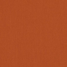 Canvas Rust Swatch