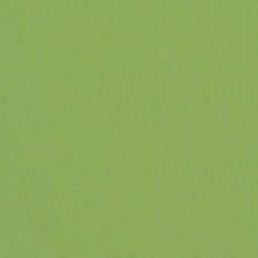 Canvas Ginko Swatch
