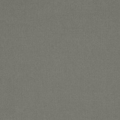 Canvas Charcoal Swatch