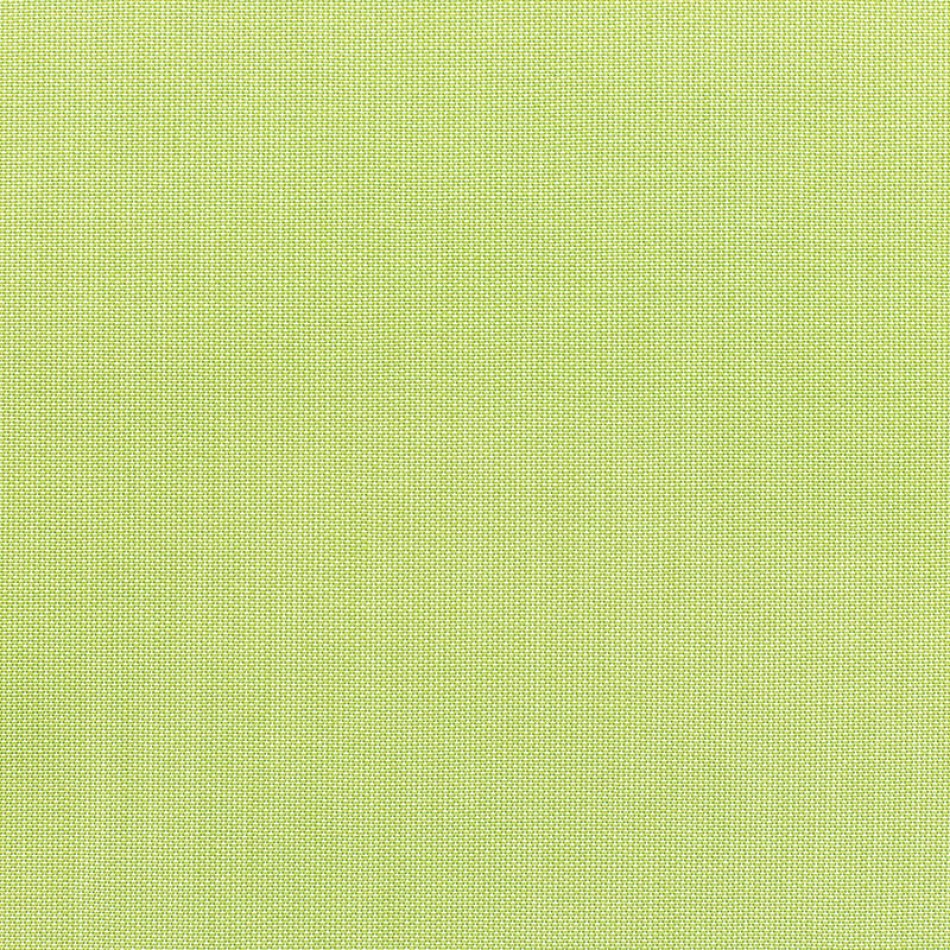 Canvas Parrot Fabric Swatch