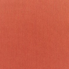 Canvas Brick Swatch