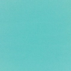 Canvas Aruba Swatch
