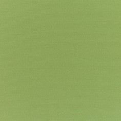 Canvas Palm Swatch