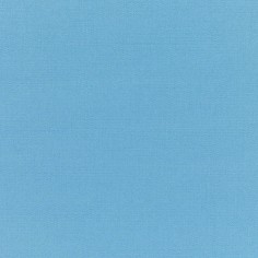 Canvas Sky Blue Swatch