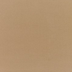 Canvas Cocoa Swatch