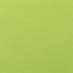 Canvas Macaw Swatch