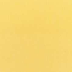 Canvas Buttercup Swatch