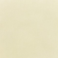 Canvas Canvas Swatch
