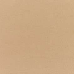 Canvas Camel Swatch