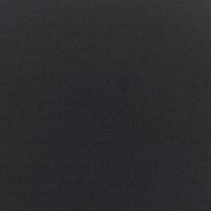 Canvas Raven Black Swatch