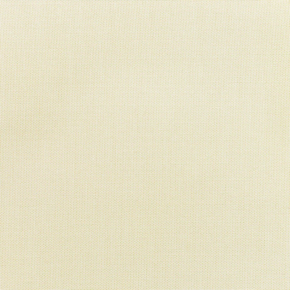 Canvas Birds Eye Fabric Swatch