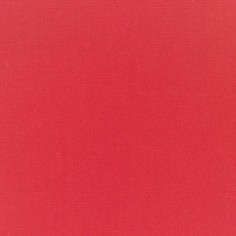 Canvas Logo Red Swatch
