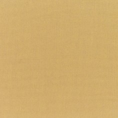 Canvas Brass Swatch