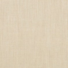 Canvas Flax Swatch