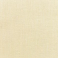 Canvas Vellum Swatch