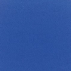 Canvas True Blue Swatch