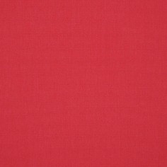 Canvas Blush Swatch