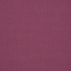 Canvas Iris Swatch