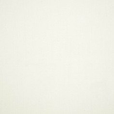 Canvas White Swatch
