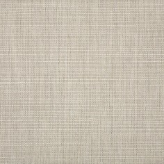 Echo Ash Swatch