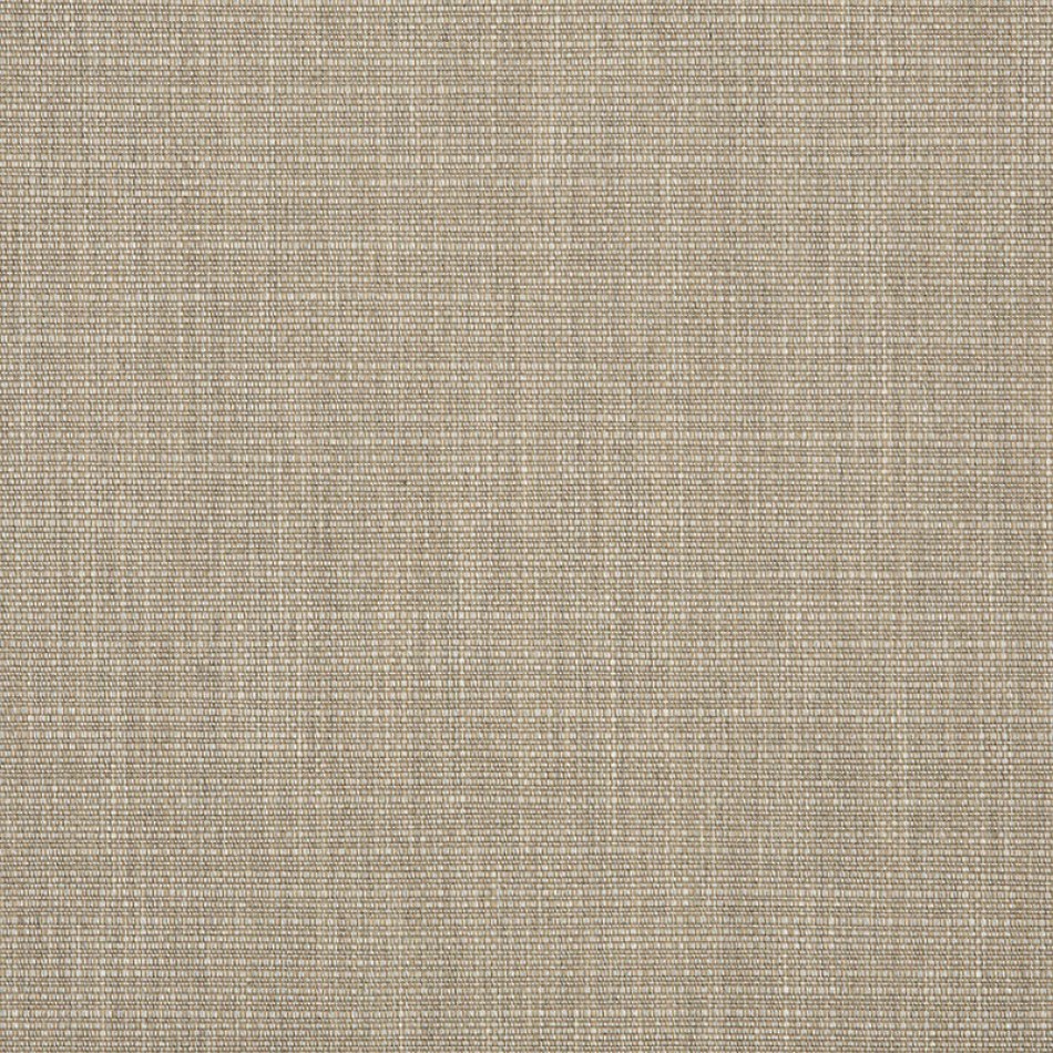 Echo Dune Fabric Swatch