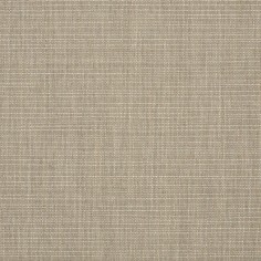 Echo Dune Swatch