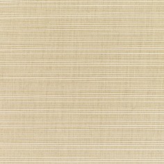 Dupione Sand Swatch