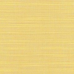Dupione Cornsilk Swatch